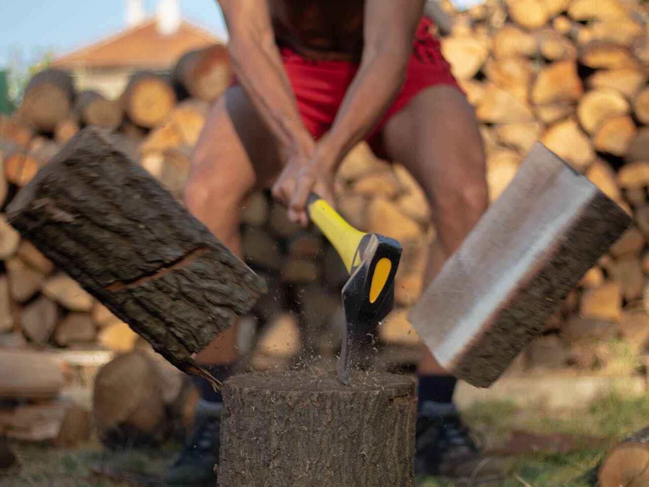 Dead Tree Removal in Alvord, TX